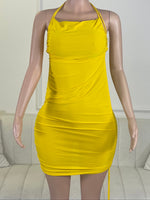 CC354 Large