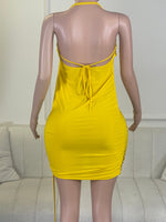 CC354 Large